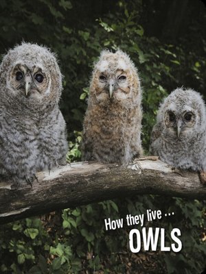 cover image of How they live... Owls